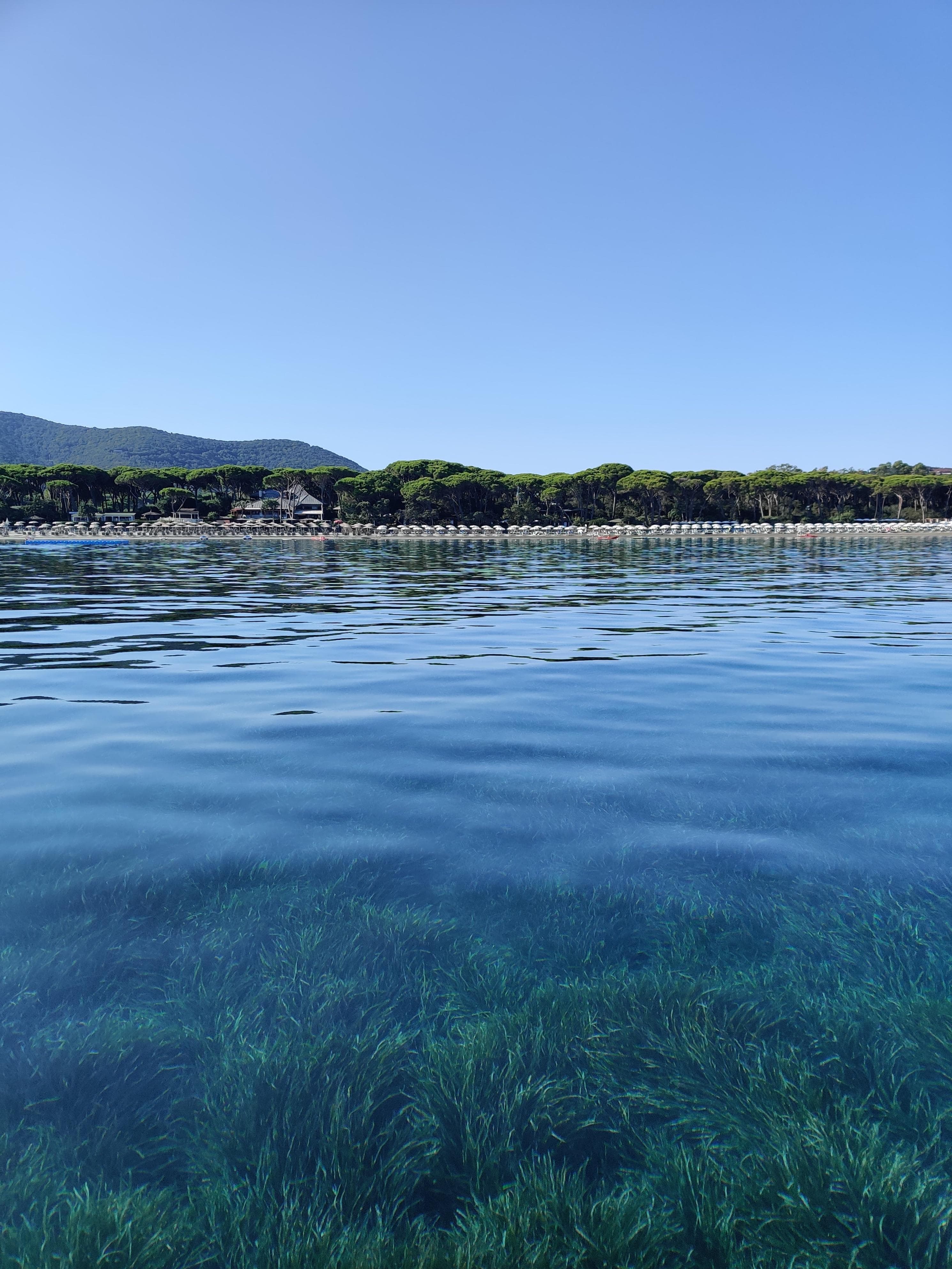 Casa vacanze bungalow Riotorto immerso in natura con spazi aperti