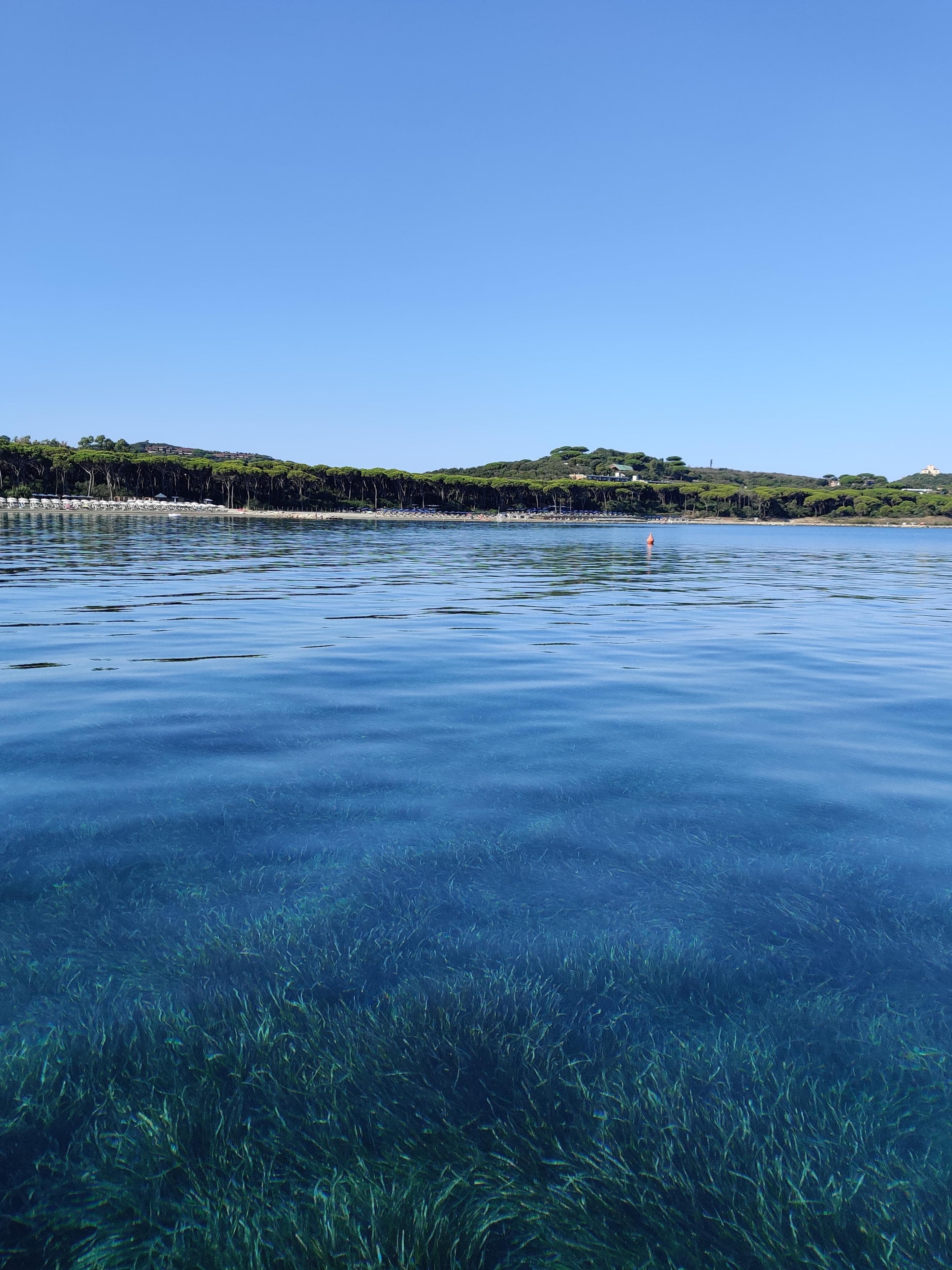 Casa vacanze bungalow Riotorto immerso in natura con spazi aperti